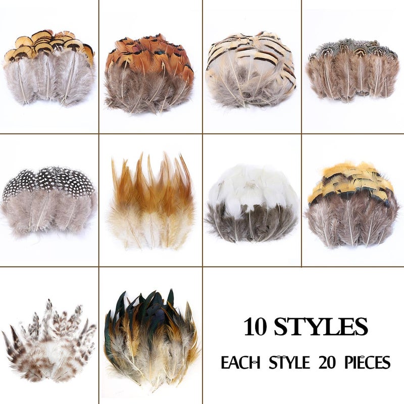 ANTUNIHOD 200pcs 10 Style Natural Feathers Assorted Mixed Feathers for Dream Catcher Crafts Decoration (10 Styles - 200 Pcs) - Image 4